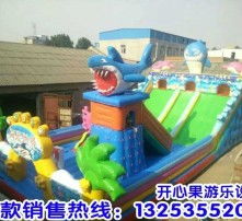 高清圖片與氣模玩具 視覺盛宴與歡樂體驗(yàn)的完美結(jié)合